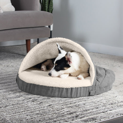 small dog on snuggery furhaven pet products bed