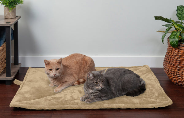 A orange and grey cat sit on a tan ThermaNap Pet Bed at FurHaven Pet Products.