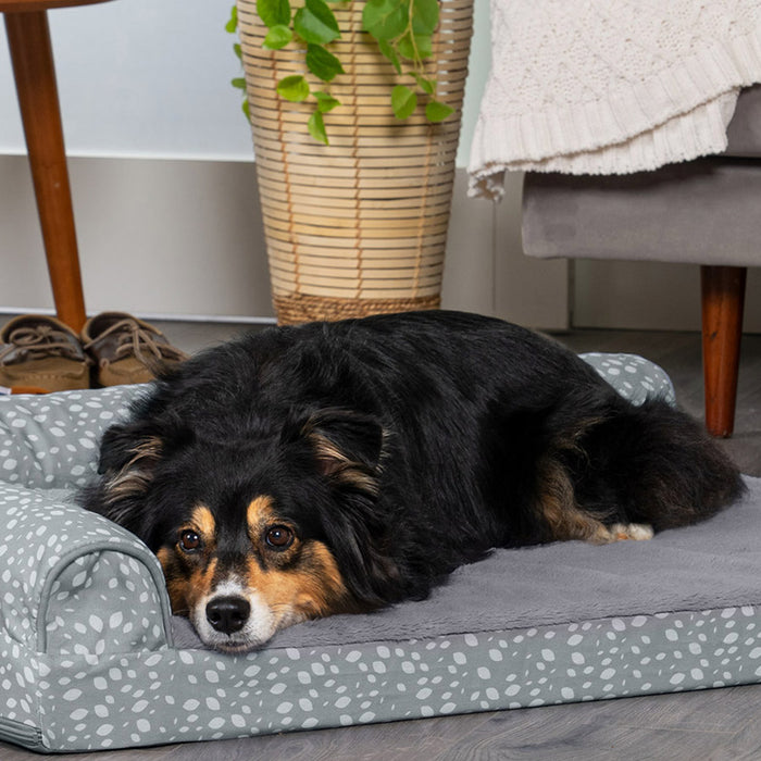 A black and brown dog lying on a gray spotted FurHaven pet bed in a living room on gray wood floor. 