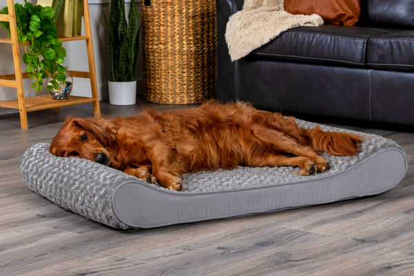 A golden dog on a FurHaven luxe-lounger dog bed in a living room at Furhaven Pet Products.