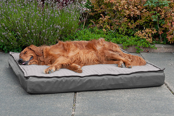 A brown golden retriever on a grey outdoor dog bed at FurHaven Pet Products
