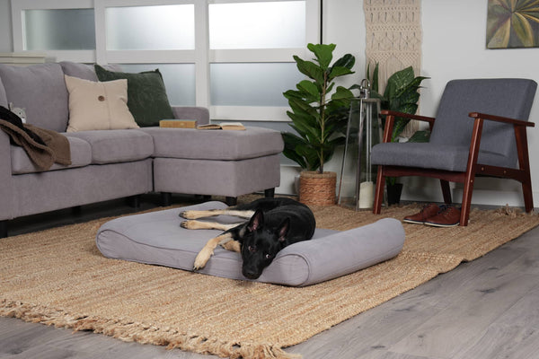 A black dog on a blue/grey colored FurHaven luxe-lounger dog bed in a living room at Furhaven Pet Products.