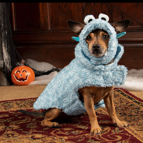 A small brown and tan dog in a fluffy blue monster costume for dogs at FurHaven Pet Products.